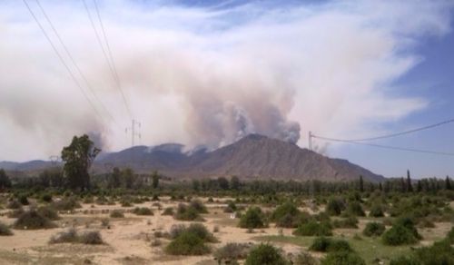 Treacherous Operation in the Sammama Mountains and the Victims in the Security Operation